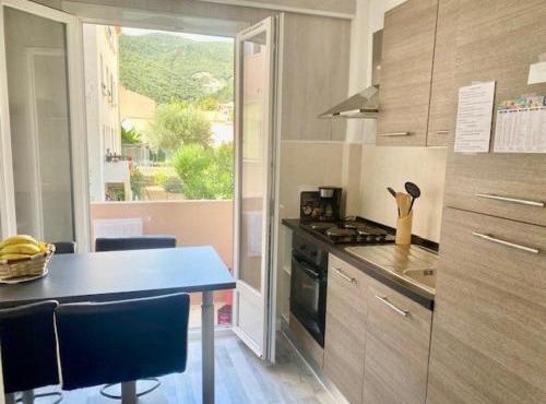 Appartement F2 rénové centre-ville Amélie-les-Bains - FR-1-703-192