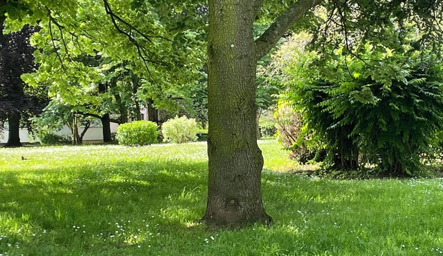 Appartement Dans Résidence Parc Magnifique . Sécurisation du Lieu. Square Enfant