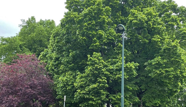 Appartement Dans Résidence Calme et Entouré dun Parc Boisé