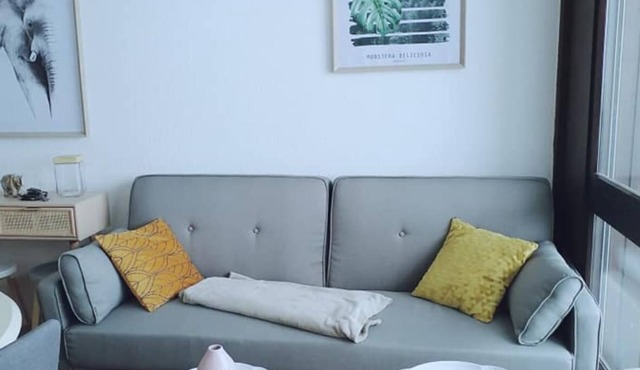 Appartement au Cœur du Col du Rousset