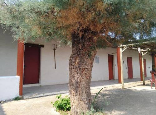 Appartement avec jardinet dans mas équestre