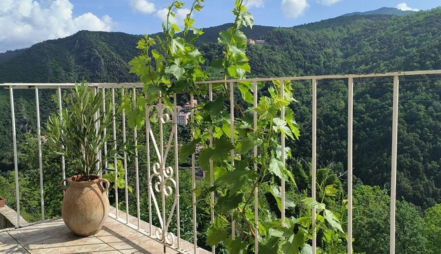 Appartement 35m² Avec Balcon vu sur la Nature !