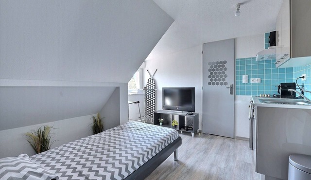 Appartement 1 Pièce Pleins de Charme