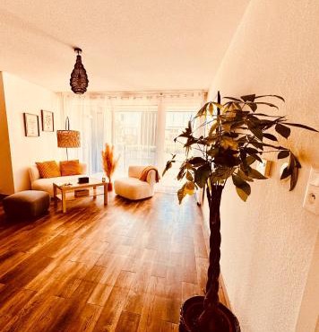 Appartement 2 chambres cosy proche aéroport et MEETT au pied du tram