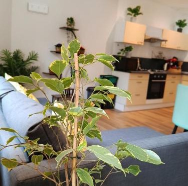 Appartement 2