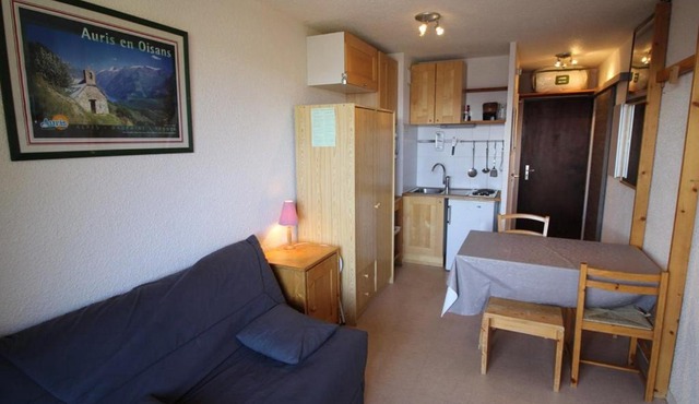 Appartement 2 pièces, 3 couchages, animaux admis, parking près des pistes - FR-1-297-51