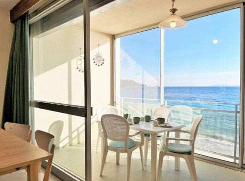 Appartement 2 pièces sur la plage - 5 couchages - FR-1-251-443