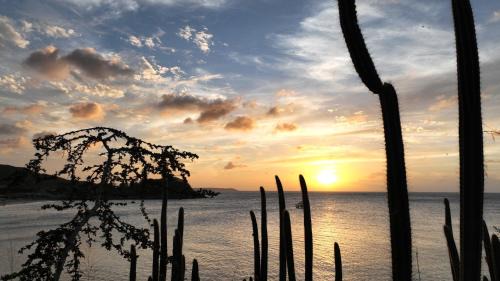 Appartement 2 pièces "Les Ilots de Friar's bay"