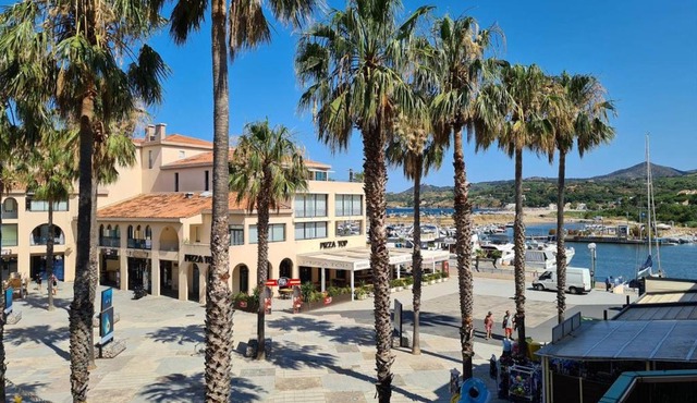 Appartement 2P cabine, 100m plage, terrasse, parking - Argelès-sur-Mer - FR-1-388-94