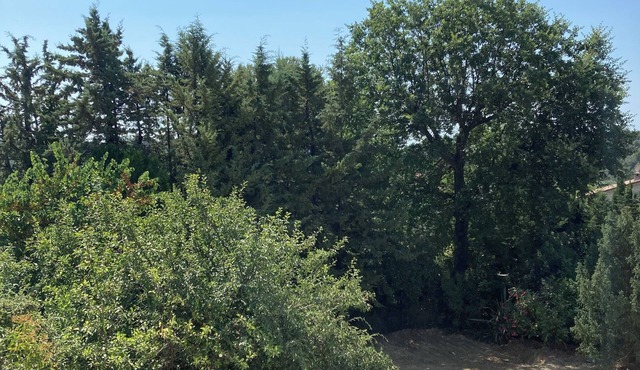 Appartement 3 pièces Au calme proche Centre Ville