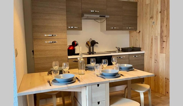 Appartement 5 pers refait à neuf au pied des pistes