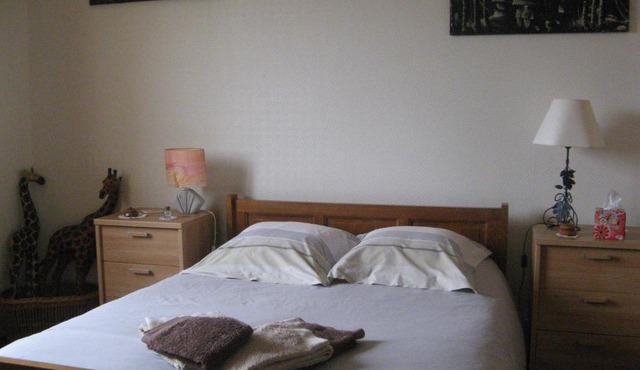 appartement 50 m2 , chambre , cuisine , salle de bains