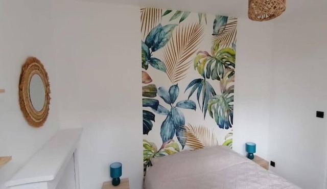 Appartement 50m² Centre-ville