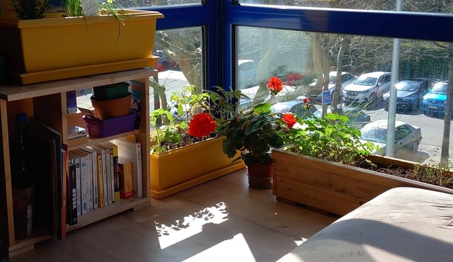 Appartement 51 m² Ensoleillé. Parking Gratuit