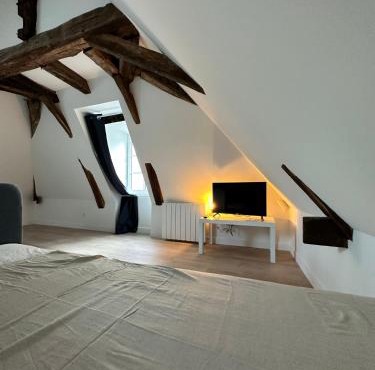 Appartement atypique et chaleureux - 1 chambre