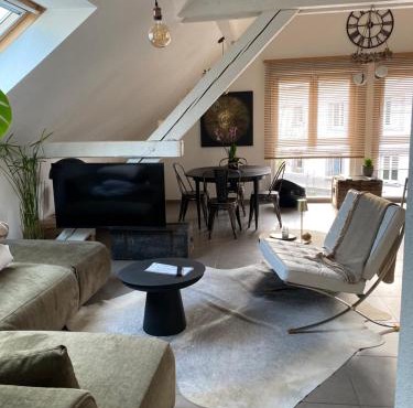 Appartement atypique lumineux