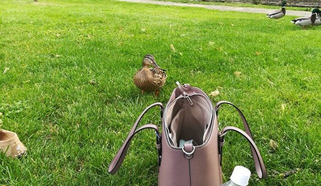 Appartement au Cœur D'arbois, à Deux pas de Tous Commerces et Restaurants