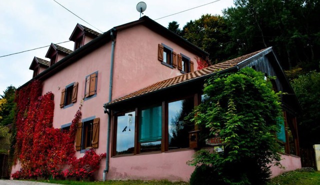 Appartement au Calme Dans la Nature en Alsace