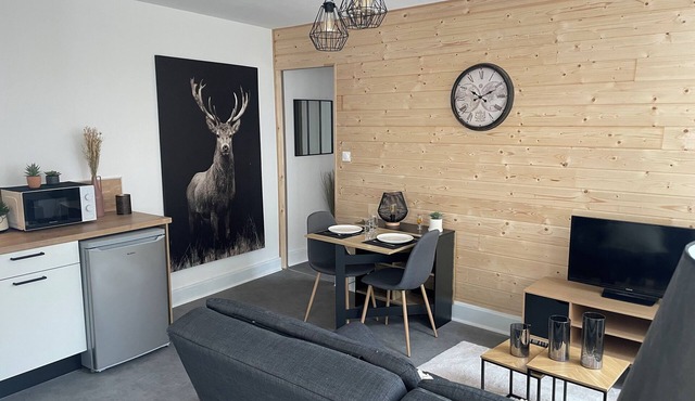 Appartement au Centre Ville