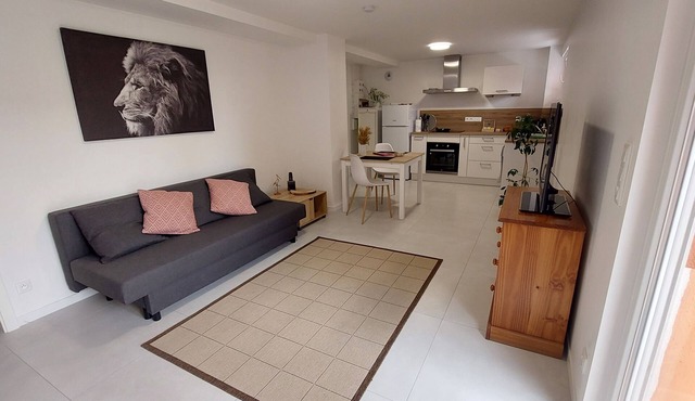 Appartement au Coeur de l Alsace