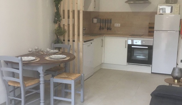 Appartement au Coeur des Chateaux de la Loire "La Riolle"