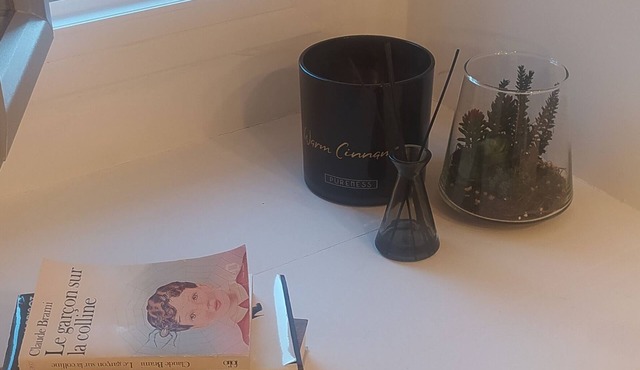 Appartement au Pied du Vercors, Dans un Centre Bourg Proche de Grenoble