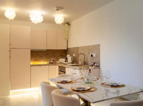 Appartement avec spa et sauna, centre historique Vierzon - FR-1-586-49