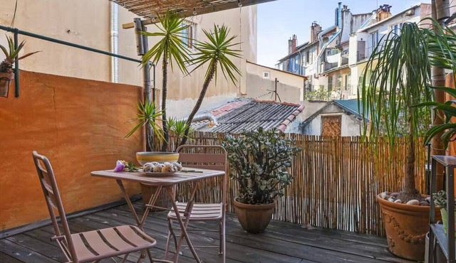 Appartement avec terrasse & mezzanine – Cœur du 6ème - La Plaine
