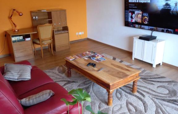 Appartement Blagnac