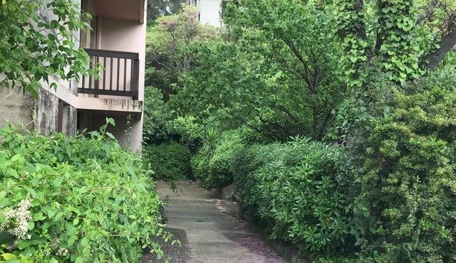 Appartement Bohème - Colline en Ville - 20min walk from downtown Aix!