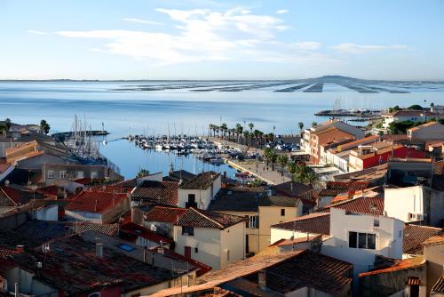 Appartement bord d'etang