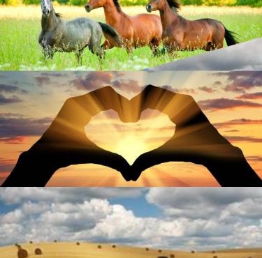 Appartement Calme Et Lumineux