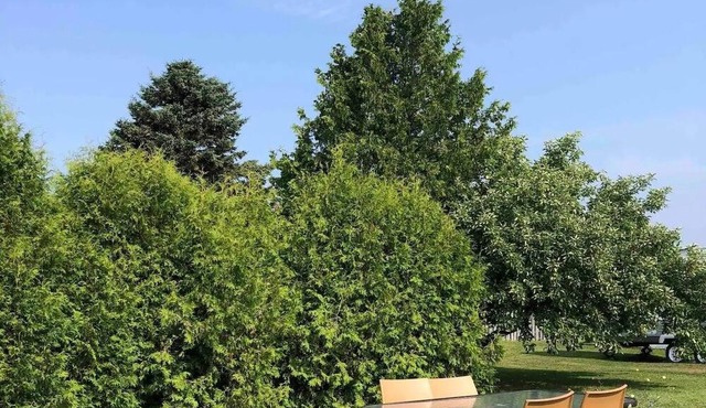 Appartement Insulaire Avec vue sur le Fleuve !