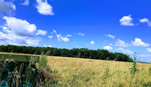 Appartement Casita mia Charmant et Calme Dans un Village Auxportes de Toulouse