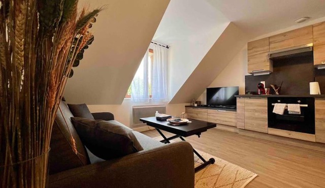 Appartement Centre-ville/6 prsn/Bord du doubs/Au pied de la citadelle