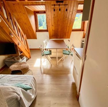 Appartement Chalet à 1400m - Station du Mourtis