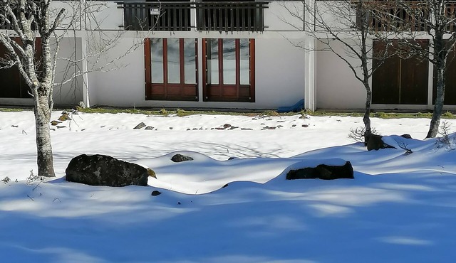 Appartement Chaleureux en Station du Mourtis