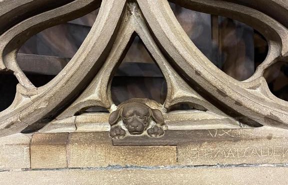 Appartement chaleureux Orangerie