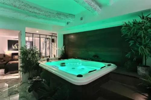 Appartement charmant à Pignans - 46 m² avec jacuzzi
