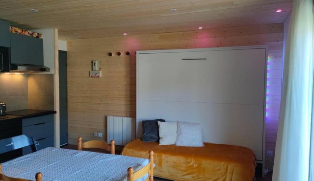 Appartement confort et style en pied de piste