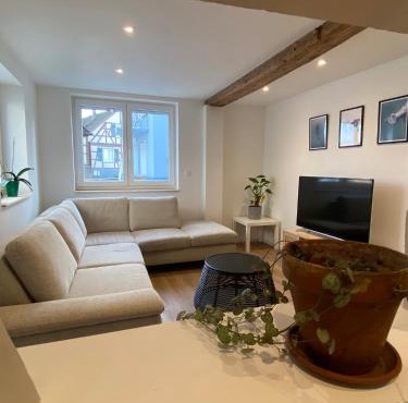 Appartement confortable