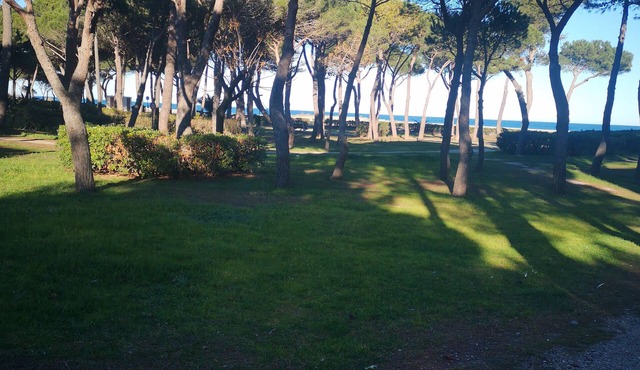 Appartement Cosy Dans une Pinède à 5 Minutes à Pied de la Plage