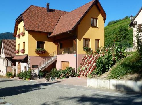 Appartement cosy à Bernardvillé 60 m² avec jardin vue montagne
