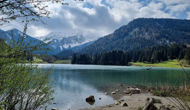 Appartement Cosy à la Montagne - le Réconfort Après L'effort !