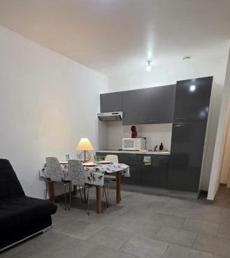 appartement cosy 1 chambre