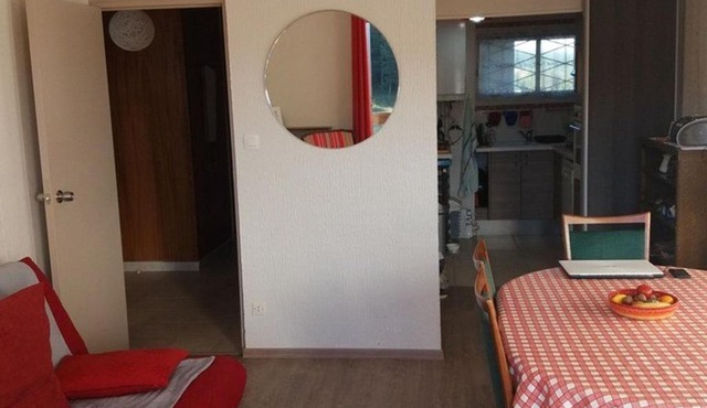 Appartement cosy 2 pièces cabine, proche commerces et pistes, 6 pers, animaux OK - FR-1-592-20