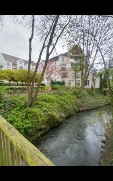 Appartement cosy au bord des quais !