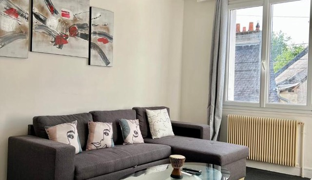 Appartement cosy au cœur d'Amboise