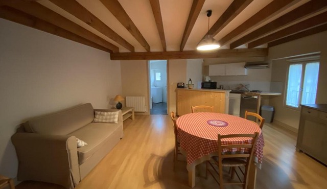 Appartement cosy au cœur de La Roche-Posay, proximité Thermes Saint Roch, 2-4 personnes, WIFI, animaux admis - FR-1-541-44