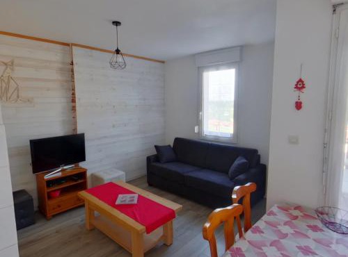 Appartement cosy au pied des pistes pour 4, Prémanon - FR-1-834-16